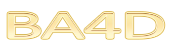 Logo BA4D